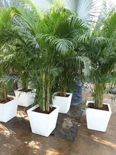 we do landscaping design trees felling cladding and clading