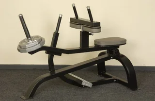 Seated &amp; Standing Calf Machine (Selling per item)
