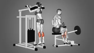Seated &amp; Standing Calf Machine (Selling per item)