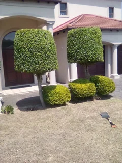 Gardening & Landscaping : Port Elizabeth