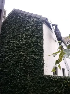 NEGOTIABLE TREE FELLING SERVICE AND GARDEN STONES DECORATION