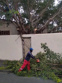 NEGOTIABLE TREE FELLING SERVICE AND GARDEN STONES DECORATION