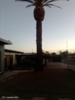 NEGOTIABLE TREE FELLING SERVICE AND GARDEN STONES DECORATION