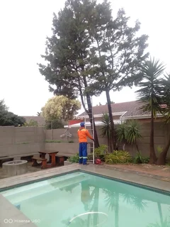 NEGOTIABLE TREE FELLING SERVICE AND WASTE REMOVAL