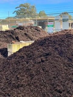 CHEAPER TREE FELLING SERVICE AND GRASS INSTALLATION