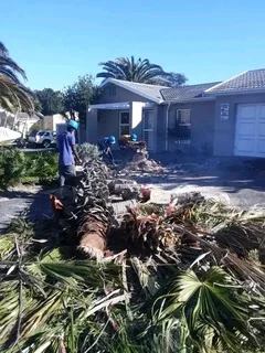 CHEAPER TREE FELLING SERVICE AND GARDEN MAINTENANCE