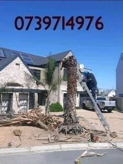 SPECIAL OFFER TREE FELLING SERVICE AND GRASS INSTALLATION