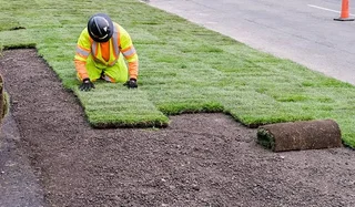 SPECIAL OFFER TREE FELLING SERVICE AND GRASS INSTALLATION