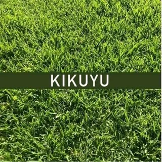 SPECIAL OFFER TREE FELLING SERVICE AND GARDEN MAINTENANCE AROUND CAPE TOWN