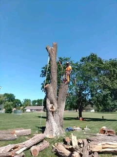 STELLENBOSCH TREE FELLING SERVICE AND GARDEN STONES DECORATION