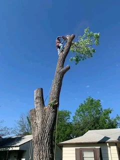 STELLENBOSCH TREE FELLING SERVICE AND GARDEN STONES DECORATION