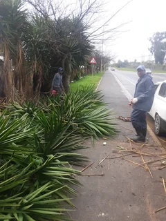 CHEAPER TREE FELLING SERVICE AND GARDEN CLEAN UPS