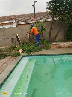 AFFORDABLE TREE FELLING SERVICE AND UNWANTED STUFF REMOVAL