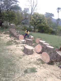 AFFORDABLE TREE FELLING SERVICE AND UNWANTED STUFF REMOVAL