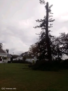 AFFORDABLE TREE FELLING SERVICE AND UNWANTED STUFF REMOVAL