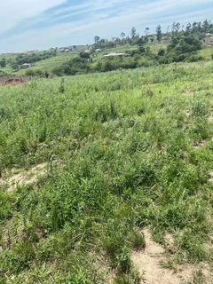 Land - Ad posted by Sibongile Gumede