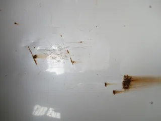 Honda Fit Bonnet - White