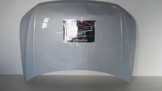 Vw Tiguan ('17-'20) bonnet