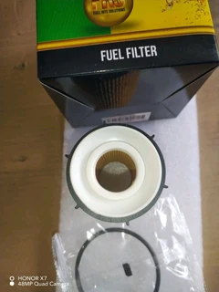 Fuel Filters