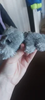 The dog big head Artist collection. 2 plush toys-accept bo copy cats