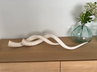 Kudu Inner Bone Decor