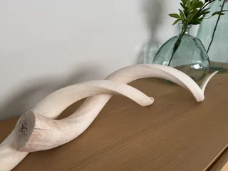 Kudu Inner Bone Decor