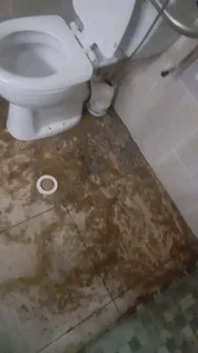 Plumbers and services renovation