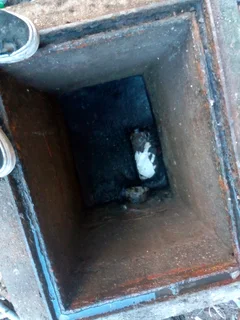 Plumbers and home improvement and plumbing renovation