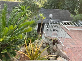 Stunning huge house for rent 1 minute from UKZN