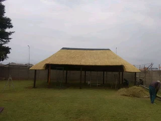 thatch lapas