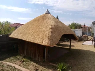 thatch  lapas