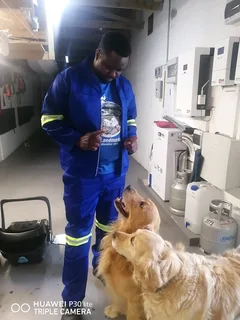 Steve with experience of Housekeeping and painting looking for a job