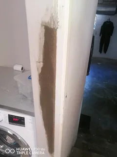 Steve with experience of Housekeeping and painting looking for a job