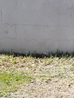 House keeping and Painting