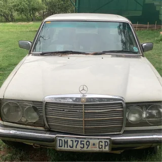 1987 Mercedes-Benz 200 Series Sedan W123