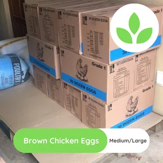 Chicken eggs bulk Medium and Large size - Collection in Midrand