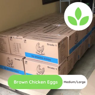 Chicken eggs bulk Medium and Large size - Collection in Midrand