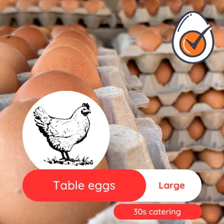 Chicken eggs bulk Medium and Large size - Collection in Midrand