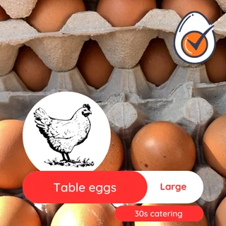 Chicken eggs bulk Medium and Large size - Collection in Midrand