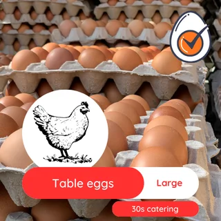Chicken eggs bulk Medium and Large size - Collection in Midrand