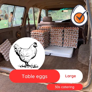 Chicken eggs bulk Medium and Large size - Collection in Midrand