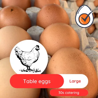 Chicken eggs bulk Medium and Large size - Collection in Midrand