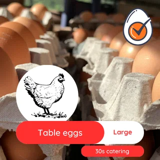 Chicken eggs bulk Medium and Large size - Collection in Midrand