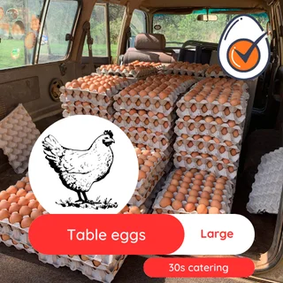 Chicken eggs bulk Medium and Large size - Collection in Midrand