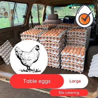 Chicken eggs bulk Medium and Large size - Collection in Midrand
