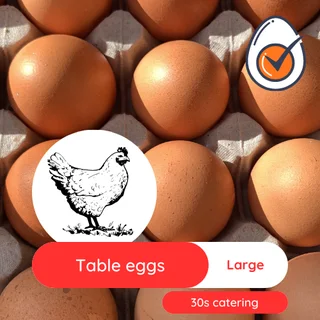 Chicken eggs bulk Medium and Large size - Collection in Midrand
