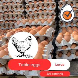 Chicken eggs bulk Medium and Large size - Collection in Midrand