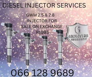Gwm 2.5 &amp; 2.8 Diesel Injectors For Sale On Exchange Or To Recon