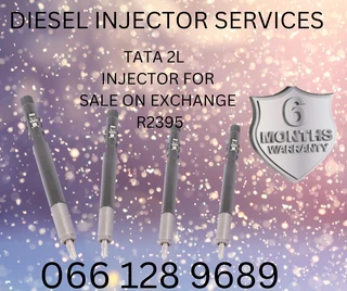 Tata 2l Diesel Injectors For Sale On Exchange Or To Recon