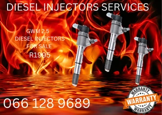 Gwm 2.5l Diesel Injectors For Sale On Exchange With Warranty